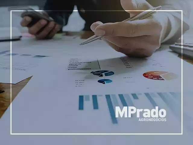 Administrativo e Financeiro - MPrado