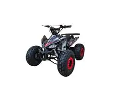 Quadriciclo Infantil Bull Motors Coyote SS 125CC Graf. e Vermelho 21/2 - 1