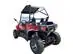 Buggy Bull Motors Tiger 200CC 4T CVT Vermelho 22/23 - 4