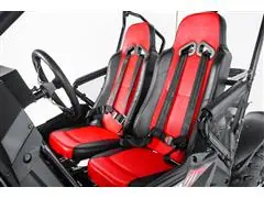 Buggy Infaltil Bull Motors Macan 208CC 4T CVT Vermelho 22/23 - 4