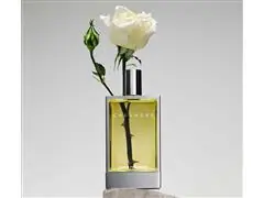 Perfume Paco Rabanne Calandre Eau De Toilette Feminino 100ml - 3