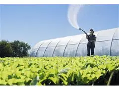 Filme de Cobertura de Estufa Agrovelper 7,6 x 105 - 1