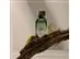 Perfume Adolfo Dominguez Vetiver Terra Eau de Parfum 120ML - 3