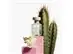 Perfume Benetton United Dreams Green Cactus For Her EDT 80ML - 2