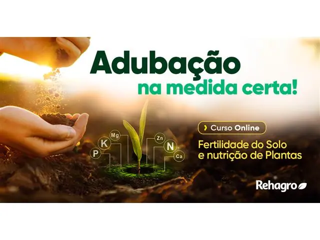 Fertilidade do Solo e Nutrição de Plantas na Produção de Grãos