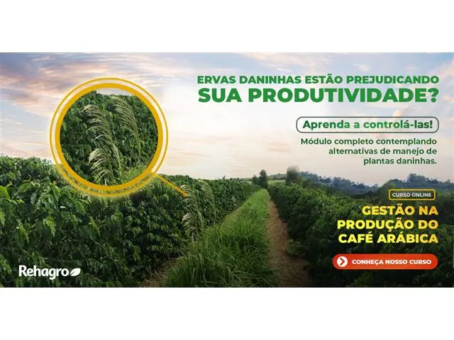 Capacitação em Gestão na Produção de Café Arábica Online