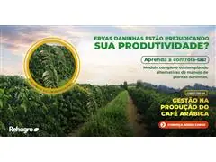 Capacitação em Gestão na Produção de Café Arábica Online - 0