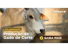 Pós graduação em Pecuária de Corte - 0