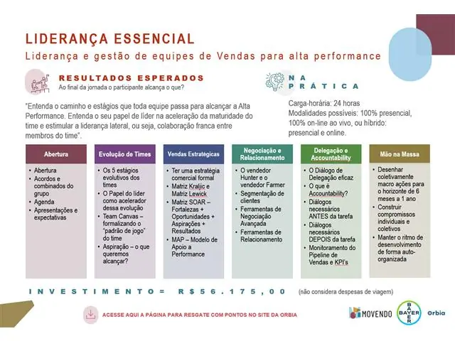 Liderança e gestão de equipes de Vendas para alta performance 