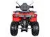 Quadriciclo ATV Bull Scorpion Braves 200 169.5CC Vermelho 23/24 - 5