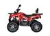 Quadriciclo ATV Bull Scorpion Braves 200 169.5CC Vermelho 23/24 - 4