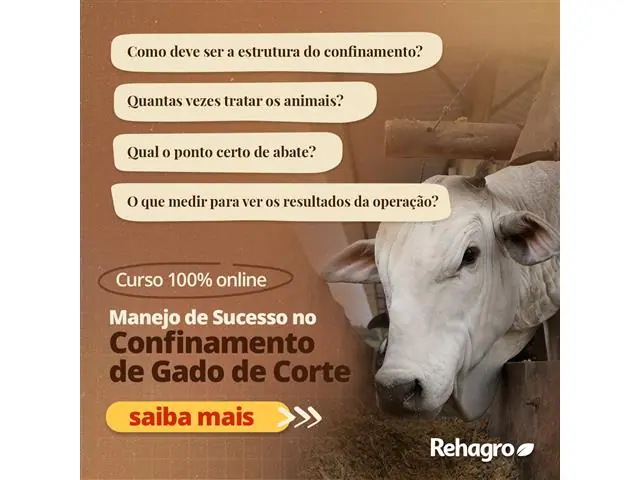 Curso Online: Manejo de Sucesso no Confinamento de Gado de Corte