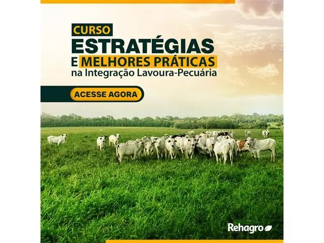 Curso: Estratégias e Melhores Práticas na Integração Lavoura-Pecuária