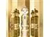 Perfume Benetton United Colors Sisterland Golden Vanilla EDP 80ML - 3