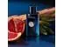 Perfume Banderas The Icon Eau de Toilette 100ml - 3