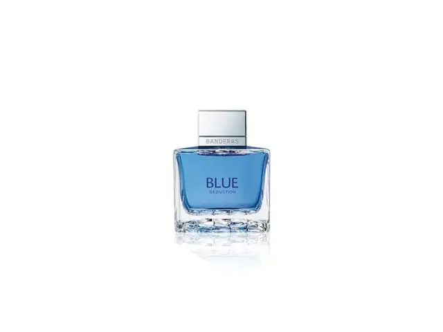 Perfume Banderas Blue Seduction Eau de Toilette 100ml