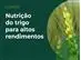 Elevagro | Curso - Nutrição do Trigo para Altos Rendimentos - 0