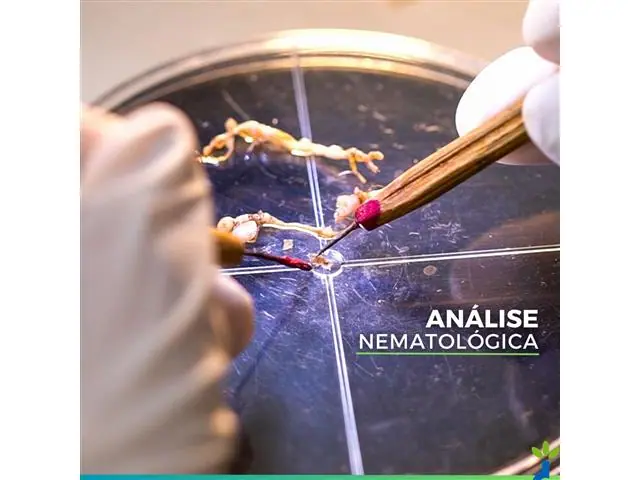 Análises Agrícolas - Laboratório Brasileiro