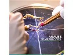 Análises Agrícolas - Laboratório Brasileiro