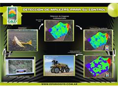 Mapeo de Malezas con Drones -GyD - 2