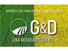 Mapeo de Malezas con Drones -GyD