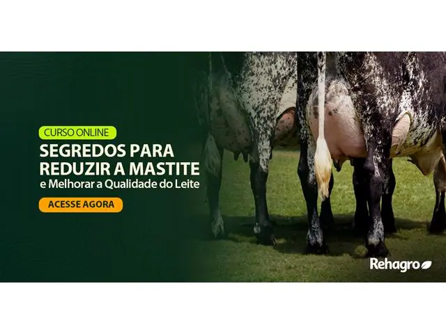 Segredos para Reduzir a Mastite e Melhorar a Qualidade do Leite