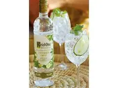 Combo Vodka Ketel One Botanical Cucumber & Mint Garrafa 750ml - 6 Uni - 7