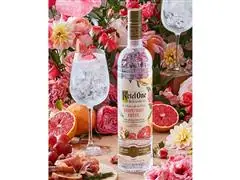 Combo Vodka Ketel One Botanical Grapefruit & Rose 750ml  - 6 Uni - 8