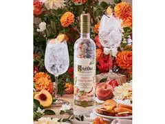 Combo Vodka Ketel One Botanical Peach & Orange Blossom 750ml  - 6 Uni - 6