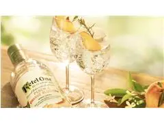 Combo Vodka Ketel One Botanical Peach & Orange Blossom 750ml - 3 Uni - 8