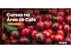 Como Maximizar a Produtividade do Café com uma Irrigação Inteligente