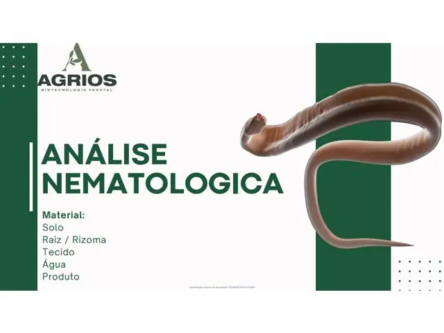 Análise Nematologica em Solo