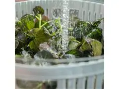 Secador de saladas OU 5,5L Clear Fresh Branco - 5