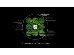 Gestão de Commodities - SaaS - 2