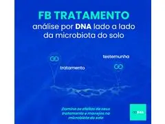 FB Tratamento - B4A Análise por DNA lado a lado da microbiota do solo - 1