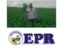 Assistência Agronômica - Enrique Pouyu