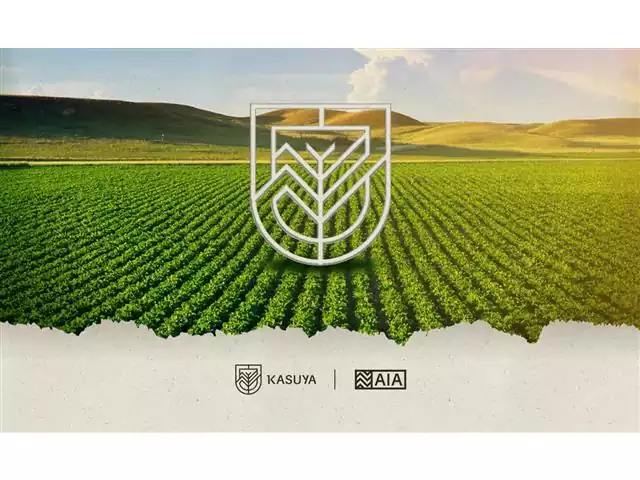 Assessoria de Inteligência Agronômica - Kasuya