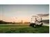Veículo Utilitário Elétrico Tramontina Elettro 170GO Golfe 48V 6.7HP - 3