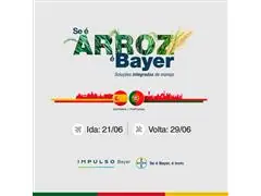 EXPERIENCIA BAYER TOP AGRICULTORES ARROZ