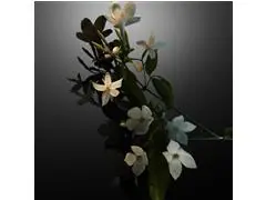 Rabanne Fame Eau de Parfum 150ml - 9