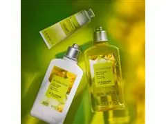 Creme de Mãos L'Occitane en Provence Barbotine 30ml - 2