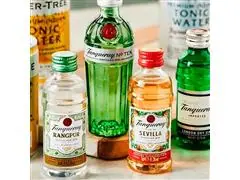 Pack com 12 Miniaturas Gin Tanqueray Flor de Sevilla 50ml - 3