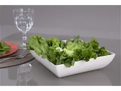 Kit Evo Saladeira Quadrada 3 Peças Marfim - 3