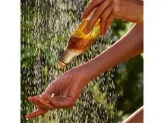 Óleo Trifásico Desodorante Natura Ekos Castanha 200ml - 3