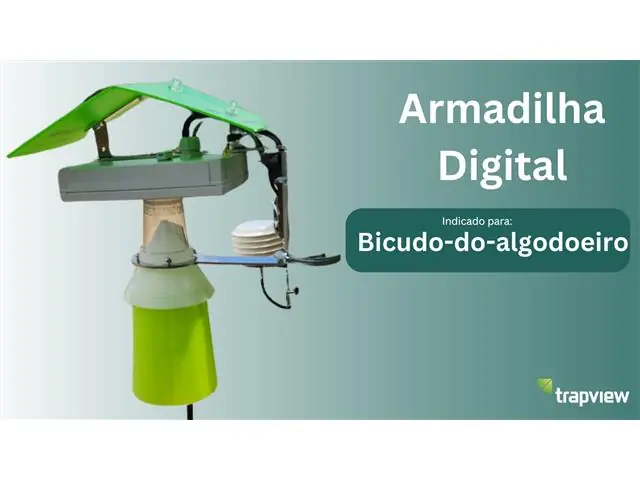 Armadilha Digital - Bicudo-do-algodoeiro