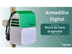 Armadilha digital - Broca da Cana e Grapholita - 5