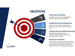 Consultoria de Gestão - Agrocifra - 1