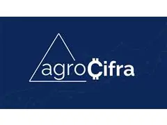 Consultoria de Gestão - Agrocifra - 2