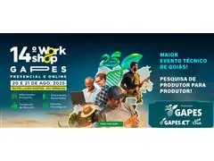 Workshop Gapes ICT