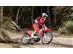 HONDA CRF 300F OFF ROAD VERMELHA - 3